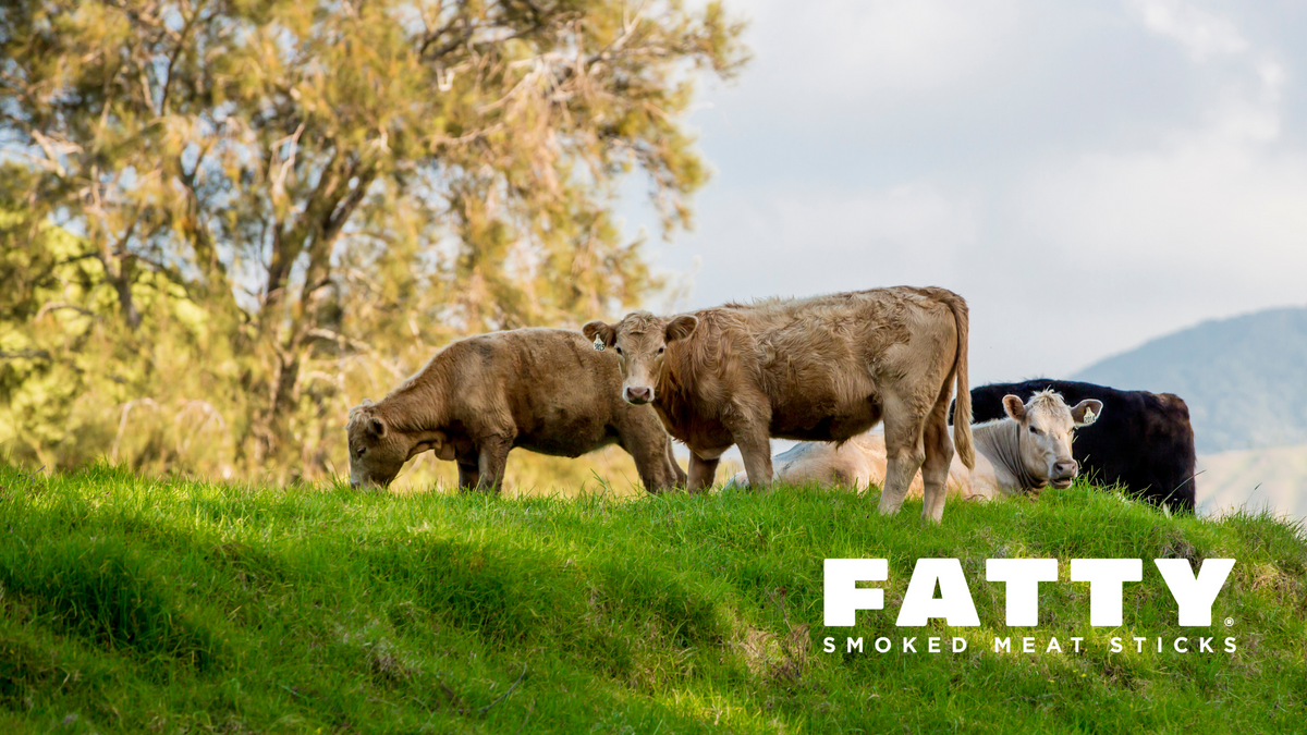 Is Natural Beef Jerky Good for You? Sweetwood Smoke & Co Sweetwood